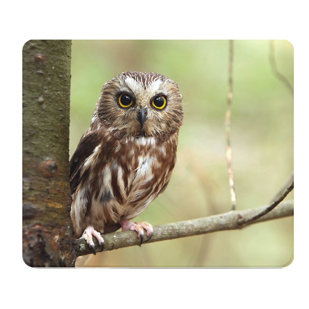 Owl Perched On Tree Branch Thick Mouse Pad Desk Mat