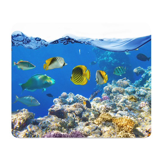 Tropical Fish Thick Mouse Pad Cushioned Desk Surface