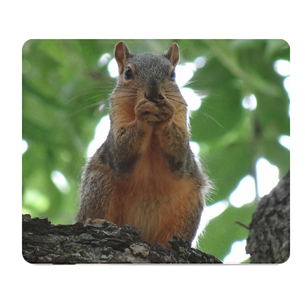 Squirrel Eating A Nut In The Tree Thick Non Slip Mouse Pad