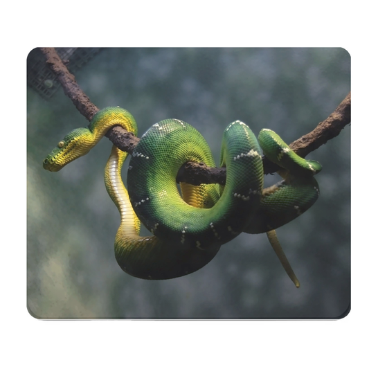 Snake In A Tree Thick Mouse Pad For Gaming Desk Setup Prime