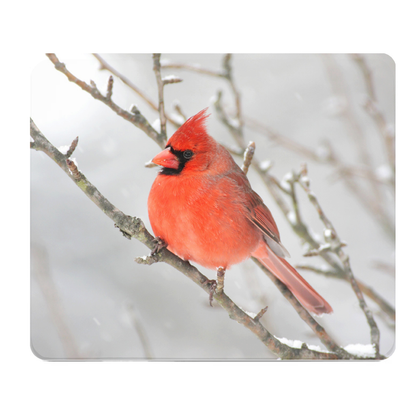 Red Cardinal Winter Thick Mouse Pad For Desk Comfort