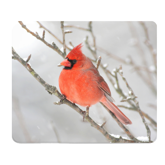 Red Cardinal Winter Thick Mouse Pad For Desk Comfort