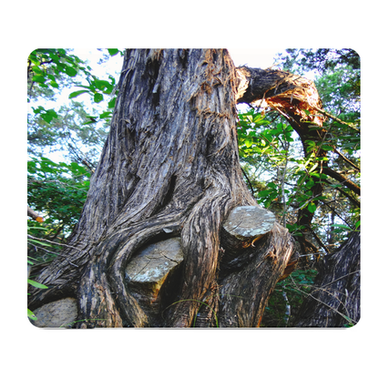 Old Tree With Roots Thick Mouse Pad Natural Rustic Desk Mat