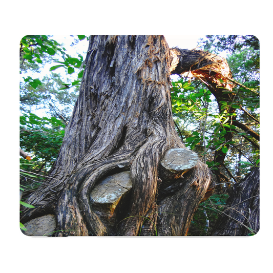 Old Tree With Roots Thick Mouse Pad Natural Rustic Desk Mat