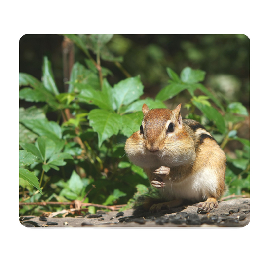 Mouthfull Chipmunk Thick Mouse Pad for Desk Comfort