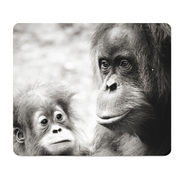 Mommy And Baby Ape Thick Mouse Pad Desk Mat Non Slip