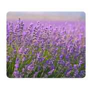Lavender Field Thick Mouse Pad For Desk Comfort Plus