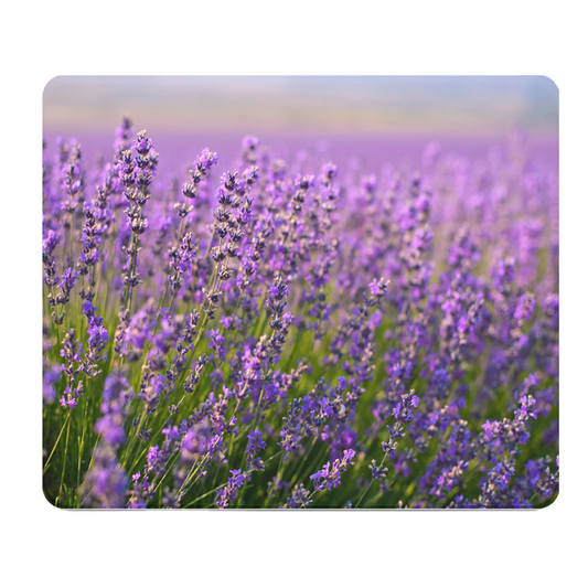 Lavender Field Thick Mouse Pad For Desk Comfort Plus