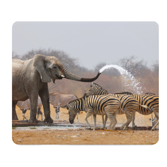 Elephant And Zebra Safari Thick Mouse Pad Desk Mat