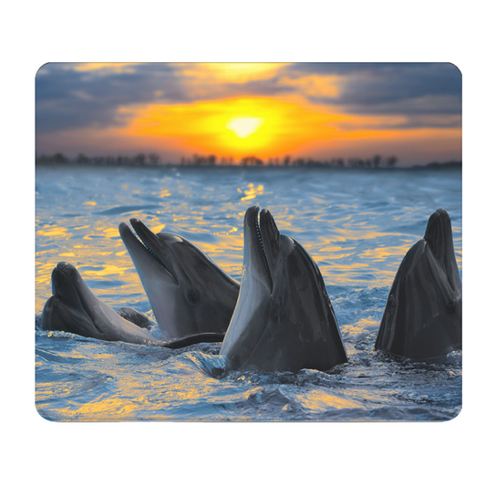 Dolphins At Sunset Thick Mouse Pad With Extra Cushion