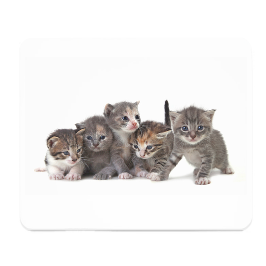 Cute Kittens Thick Mouse Pad With Plush Cushion For Comfort