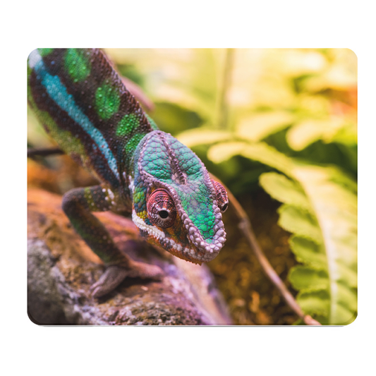 Colorful Lizard Thick Mouse Pad For Comfortable Gaming