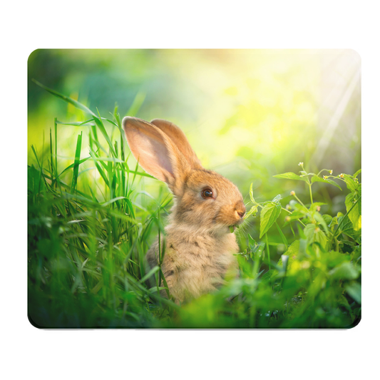 Spring Bunny Thick Mouse Pad Desk Mat Cushioned Surface