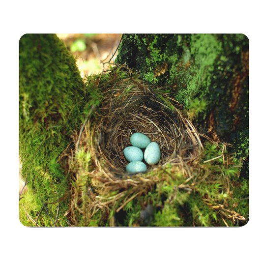 Blue Robin Eggs Thick Mouse Pad Nest Scene For Desk