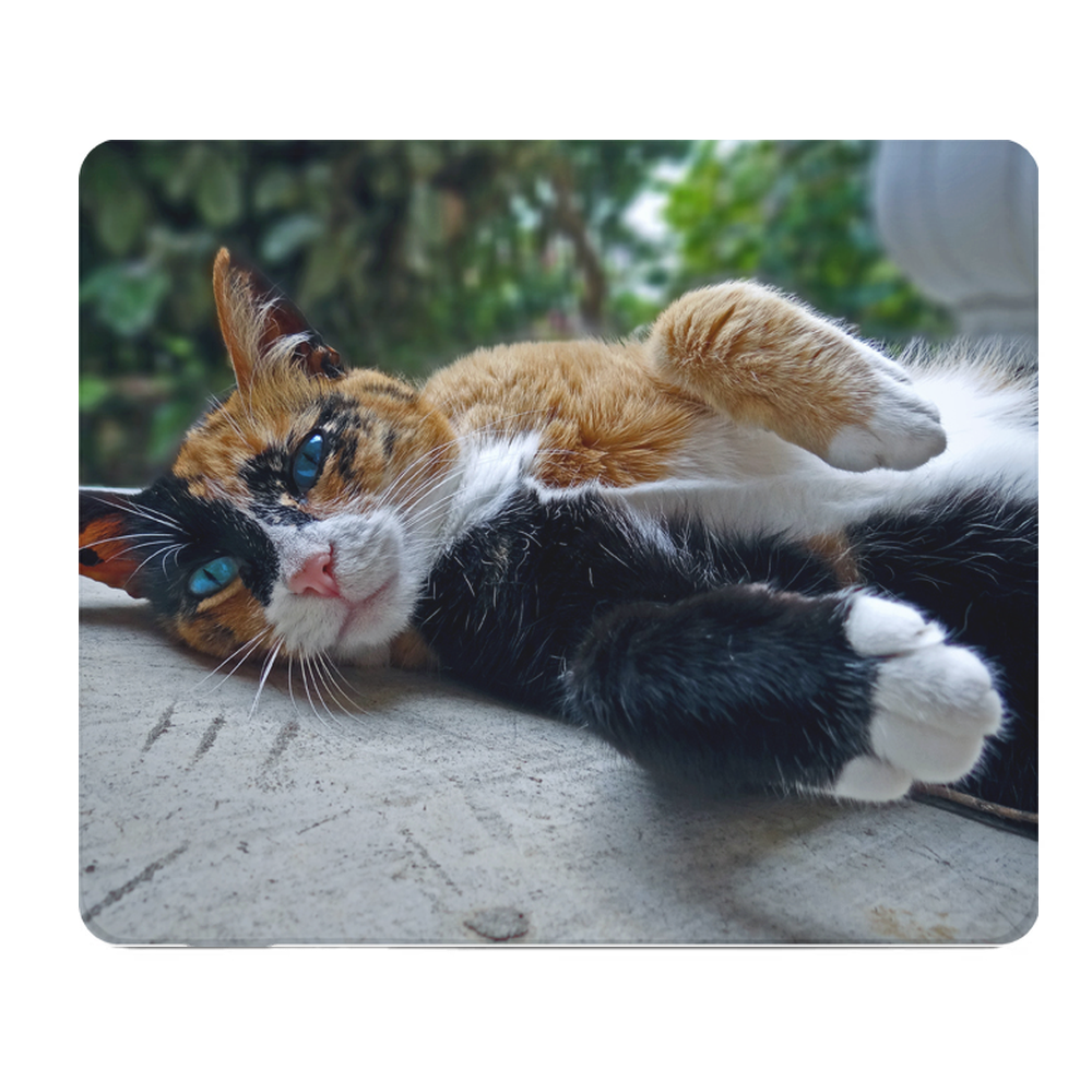 Blue Eyed Relaxed Cat Thick Mouse Pad For Comfort Desktop