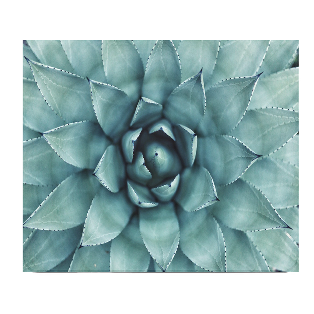Upclose Succulent Thick Mouse Pad For Desk And Office