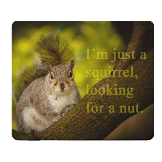 Squirrel Looking For A Nut Quote Thick Mouse Pad Gift Idea