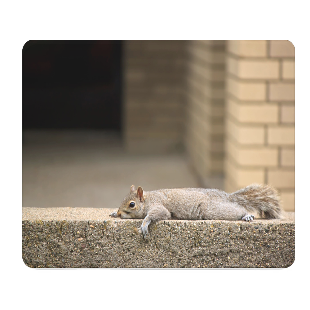 Squirrel Laying Around Thick Mouse Pad Cushion Desk Mat