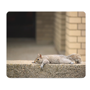 Squirrel Laying Around Thick Mouse Pad Cushion Desk Mat