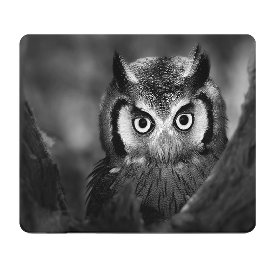Black And White Owl Upclose Thick Mouse Pad For Desk
