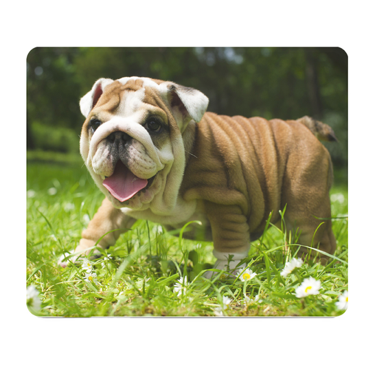 Happy English Bulldog Puppy Thick Mouse Pad Desk Pad