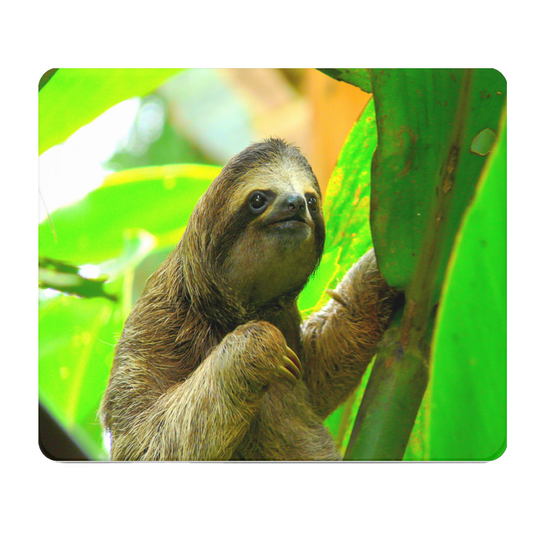 Sloth In The Jungle Thick Mouse Pad For Desk Decor