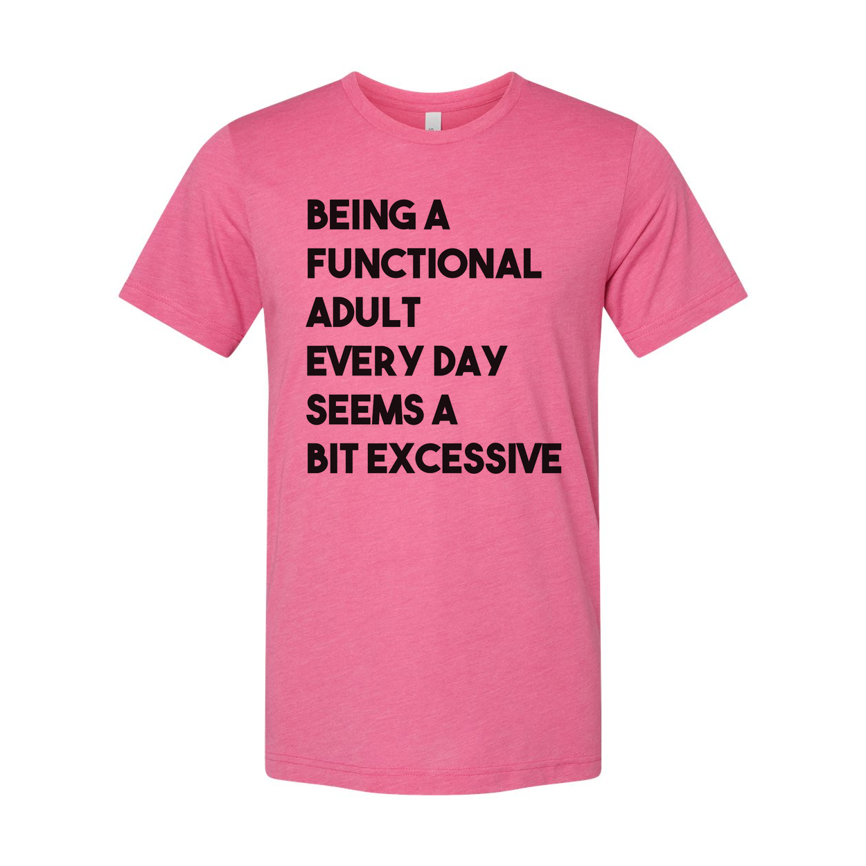 Being a Functional Adult Every Day Seems a Bit Excessive Tee