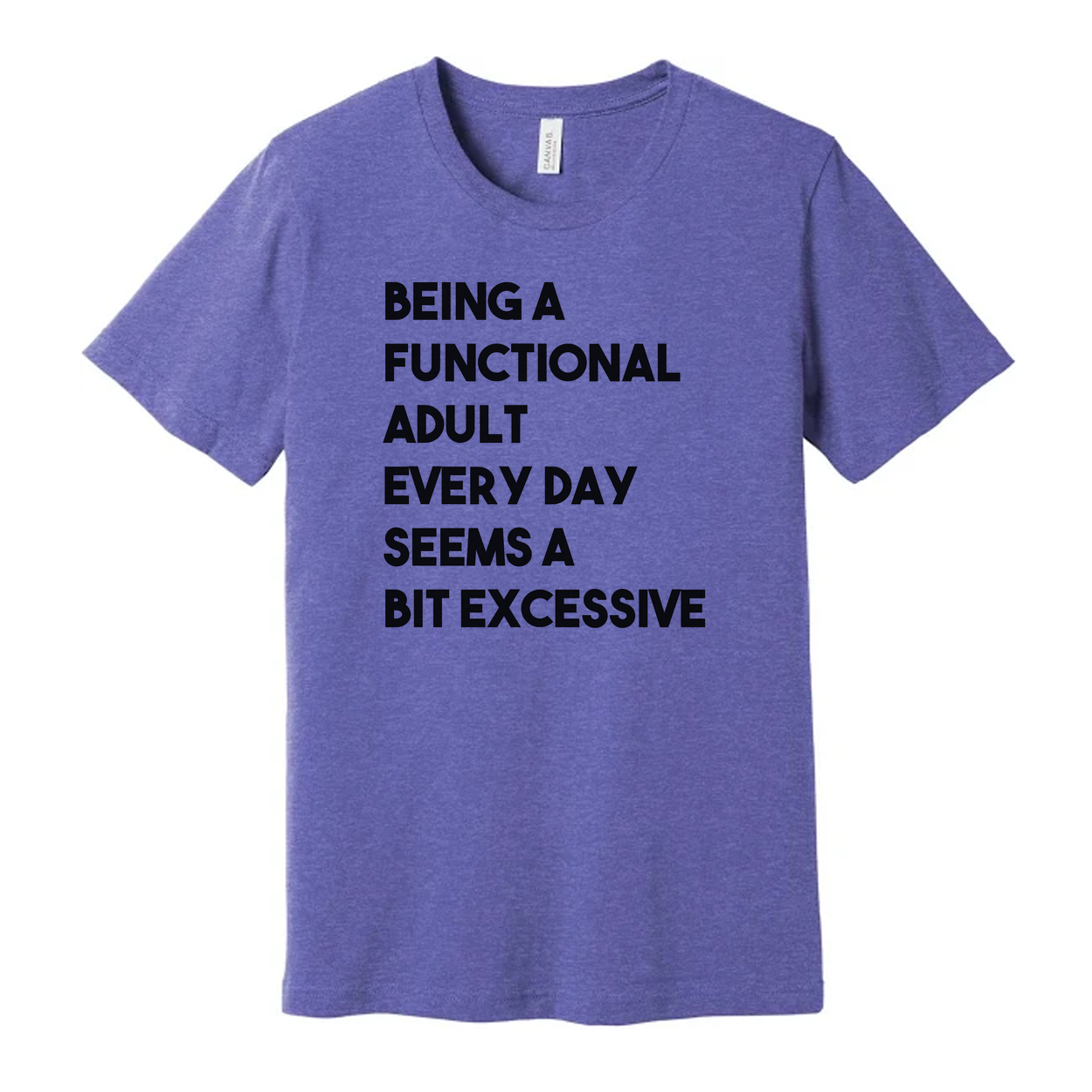 Being a Functional Adult Every Day Seems a Bit Excessive Tee