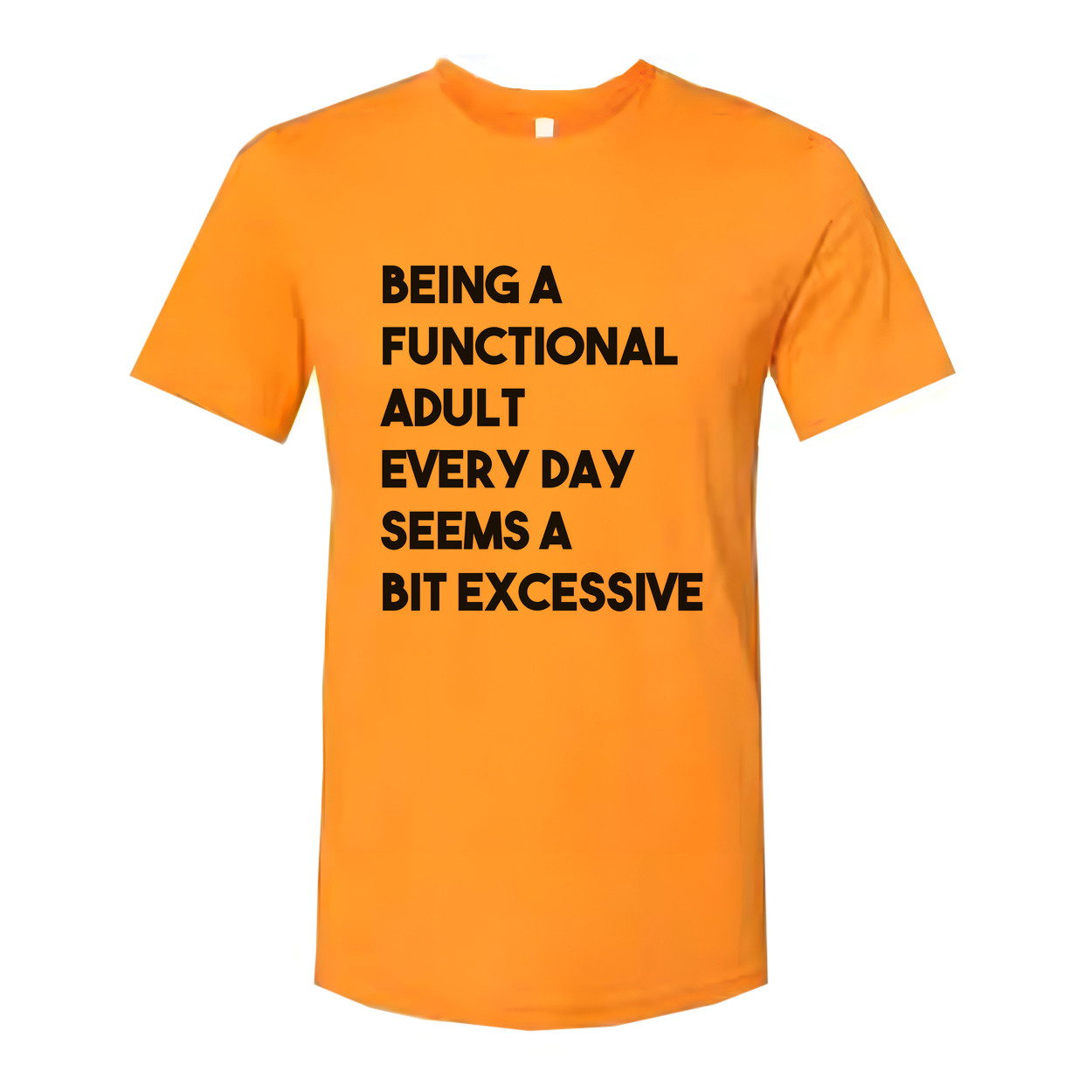 Being a Functional Adult Every Day Seems a Bit Excessive Tee
