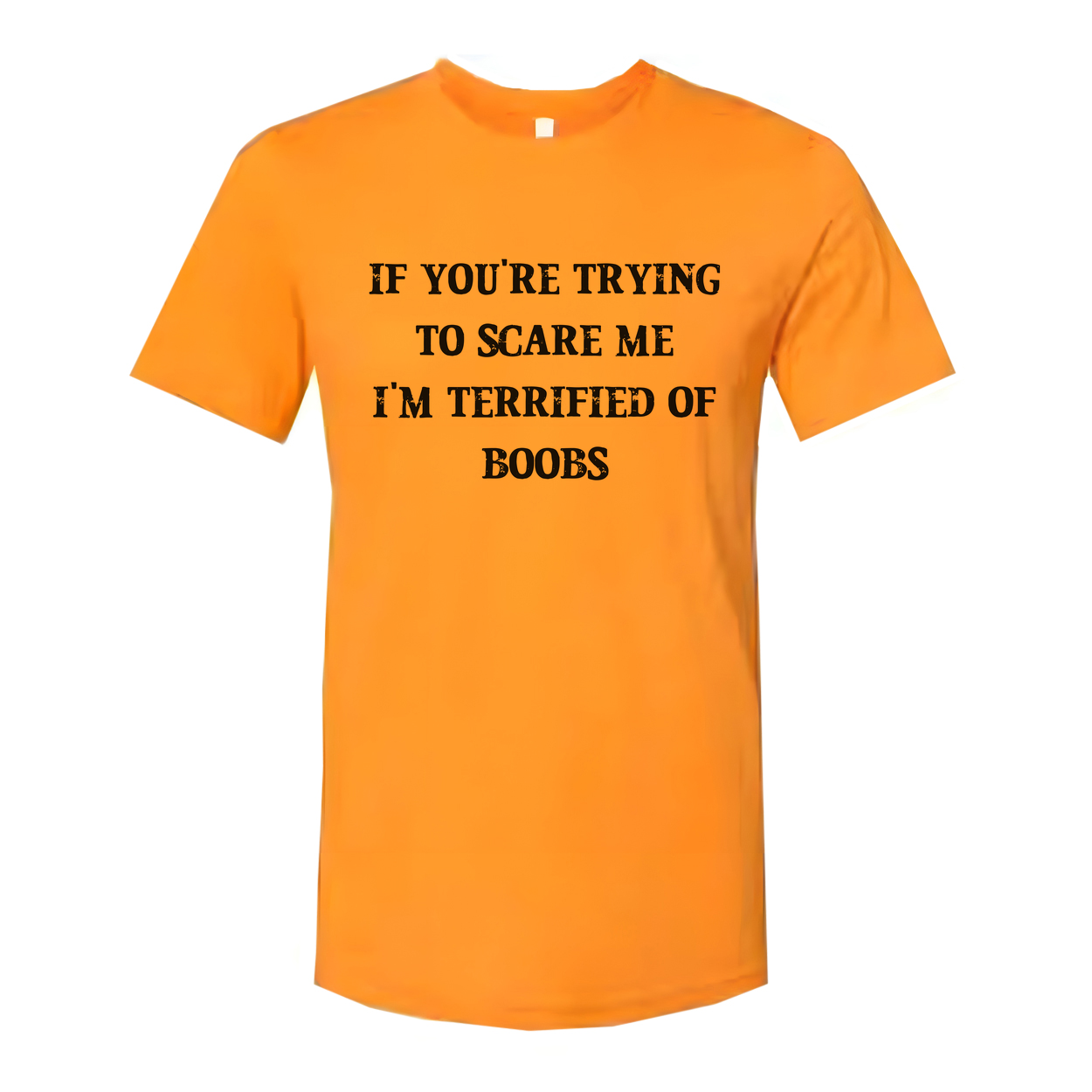 If You Are Trying To Scare Me I Am Terrified Of Boobs Tee