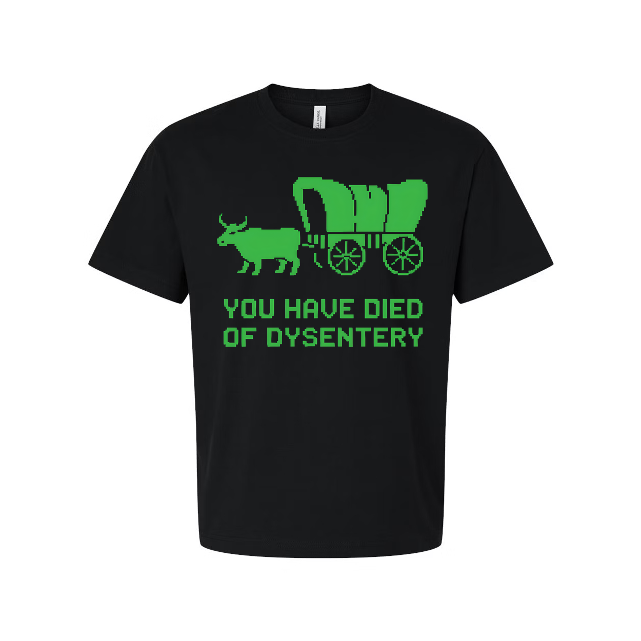 Oregon Trail You Have Died Of Dysentery Unisex T Shirt