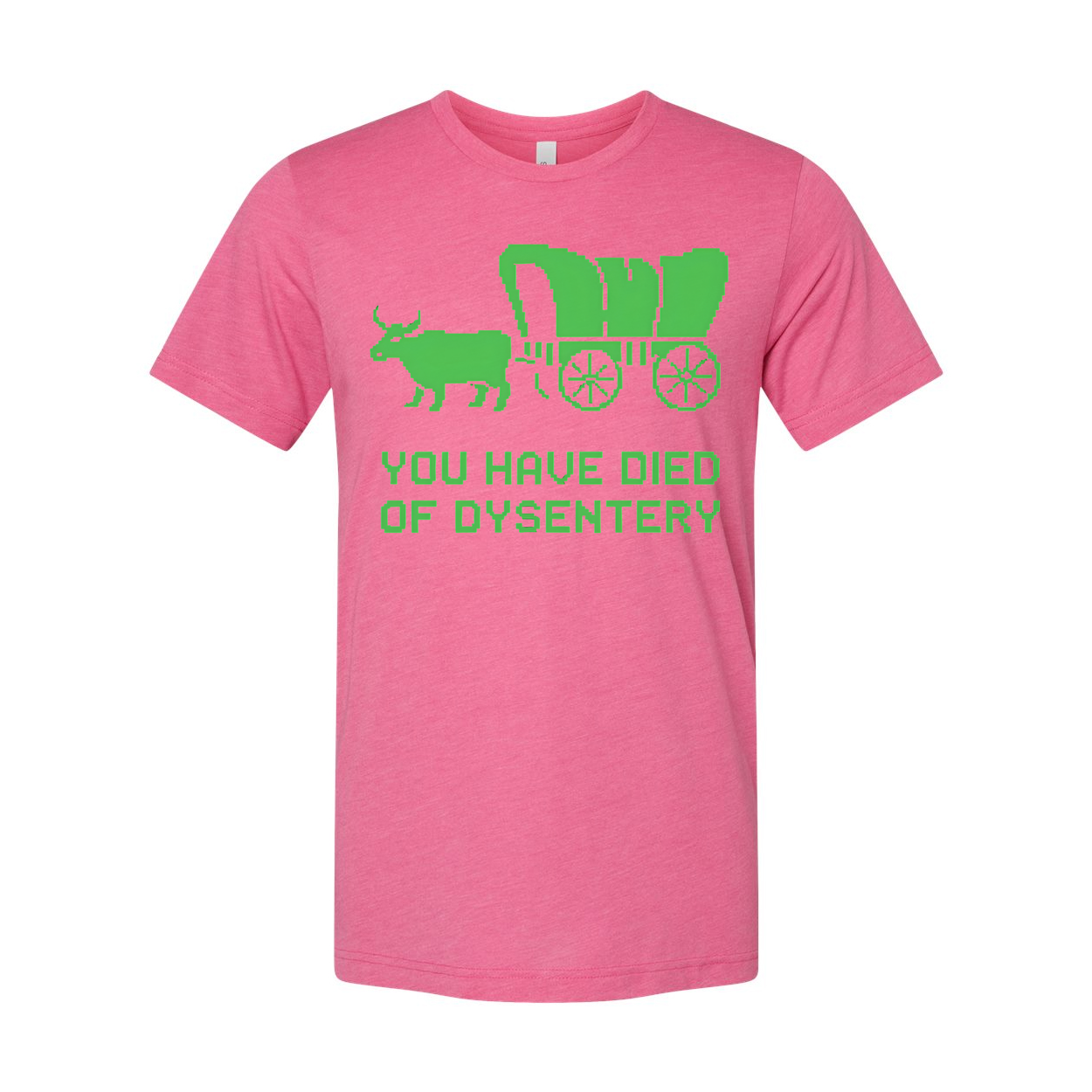 Oregon Trail You Have Died Of Dysentery Unisex T Shirt