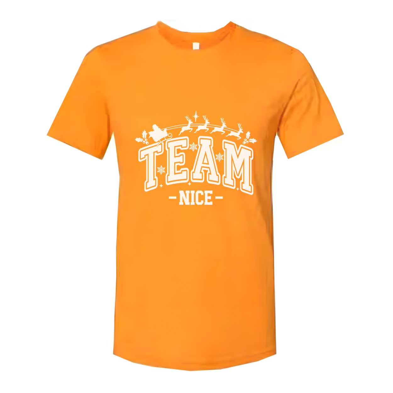 Team Nice Christmas Unisex Graphic T Shirt With Holiday Snowflake Design For Men And Women