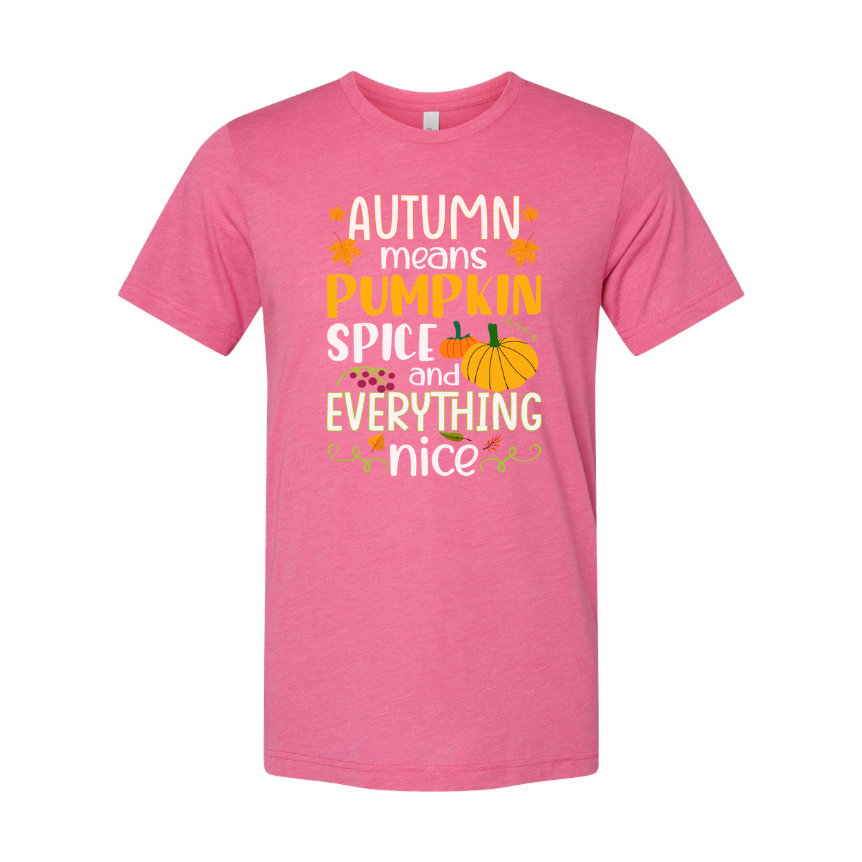 Autumn Means Pumpkin Spice And Everything Nice Unisex Thanksgiving Graphic T Shirt For Fall Wardrobe