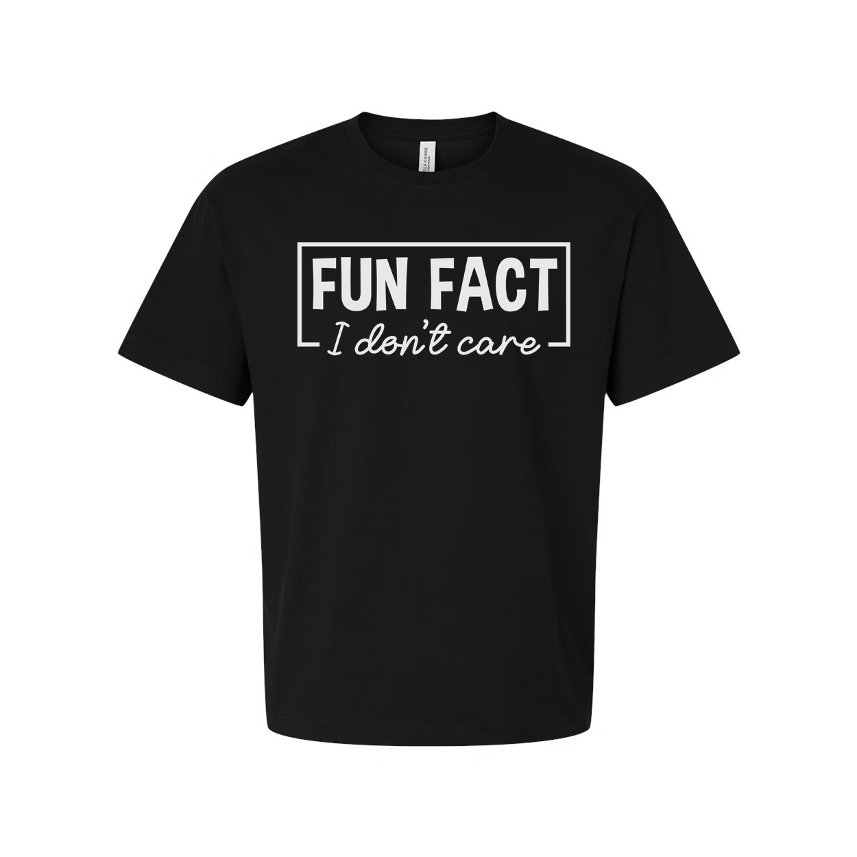 Sarcasm Unisex T Shirt Fun Fact I Don't Care Graphic Tee Soft Cotton Comfortable Fit for Men Women