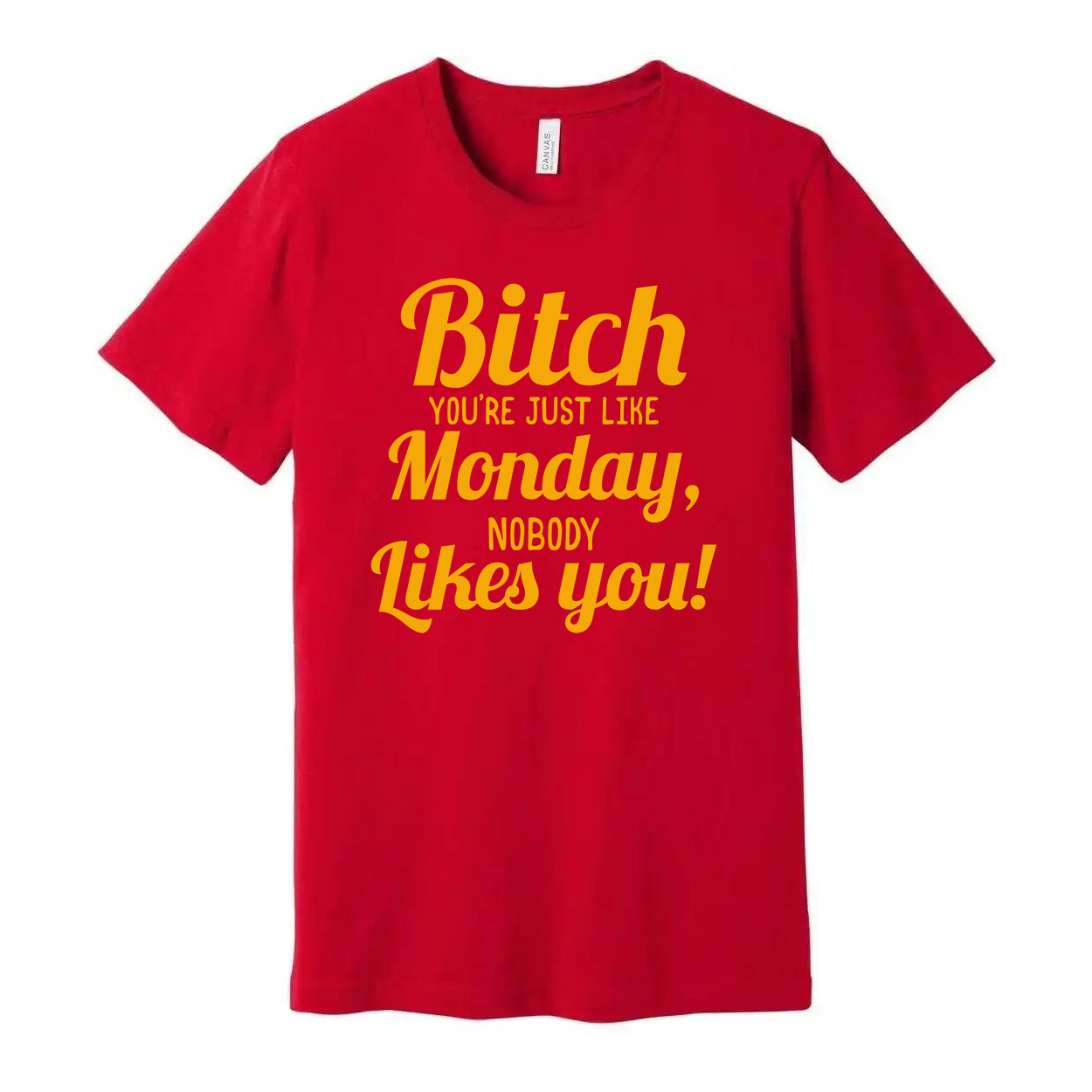 Bitch You're Just Like Monday Nobody Likes You Unisex T Shirt Graphic Tee Soft Cotton Short Sleeve