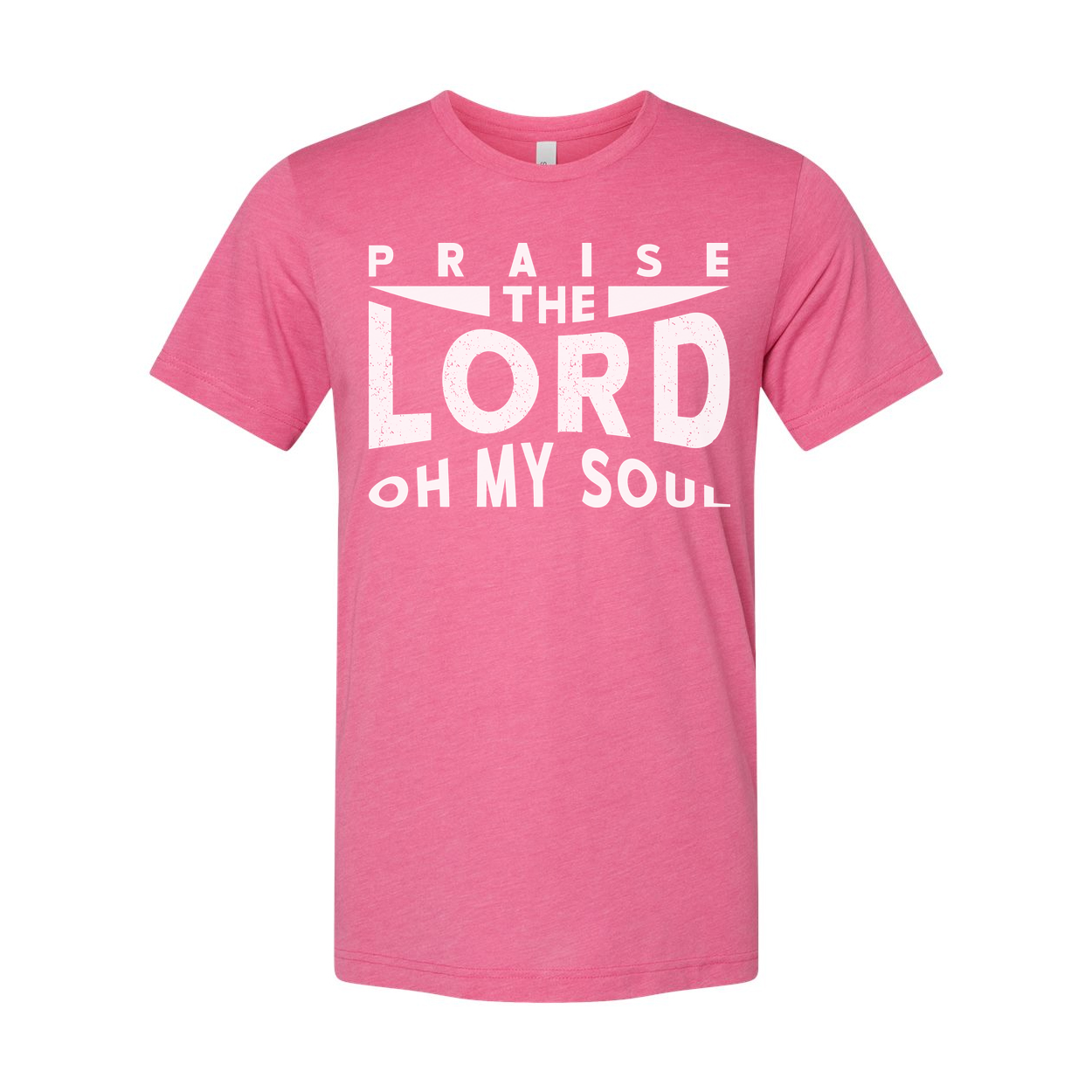 Praise The Lord Oh My Soul Christian Unisex Graphic Tee Shirt Apparel Line Casual