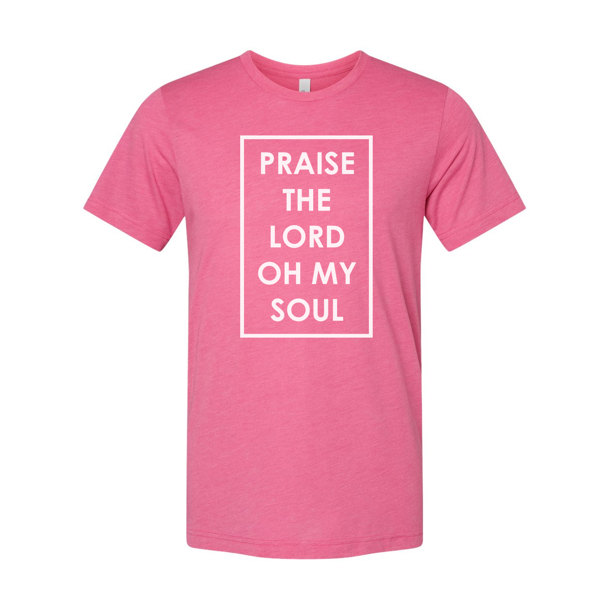 Unisex Graphic T Shirt With Praise The Lord Oh My Soul Inside Framed Border Design