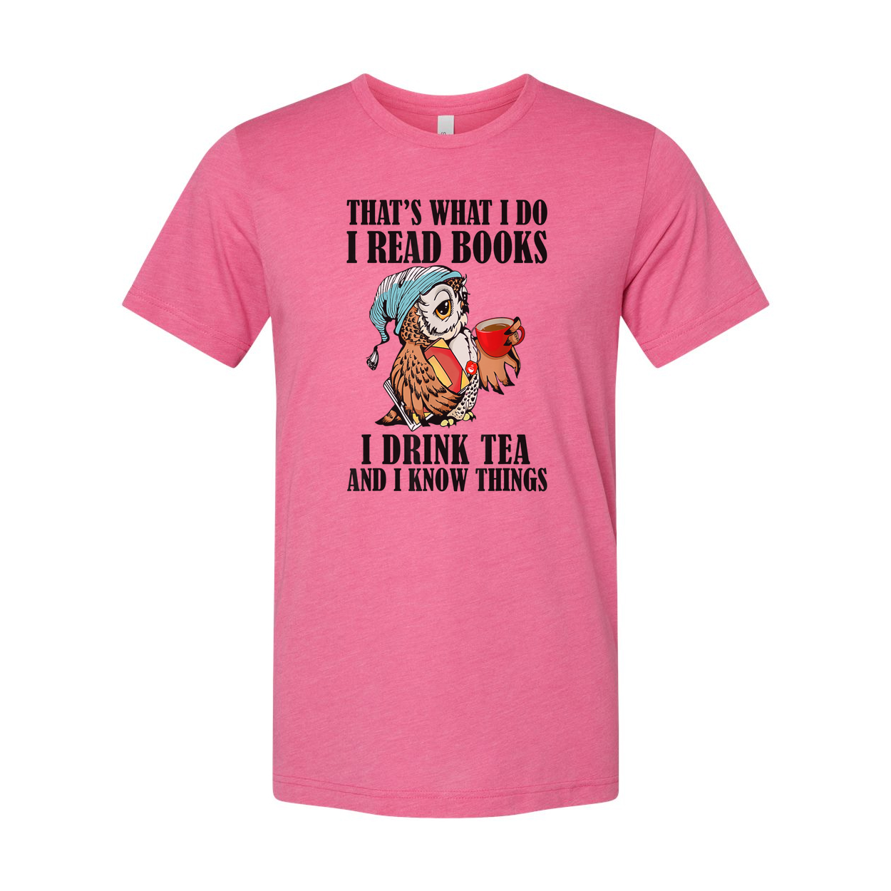 Unisex Owl Reading Books Tee With Tea Cup That's What I Do I Read Books And I Drink Tea And I Know Things